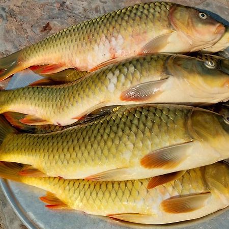 Nasan Green Farm Cao Bang Zewnętrze zdjęcie