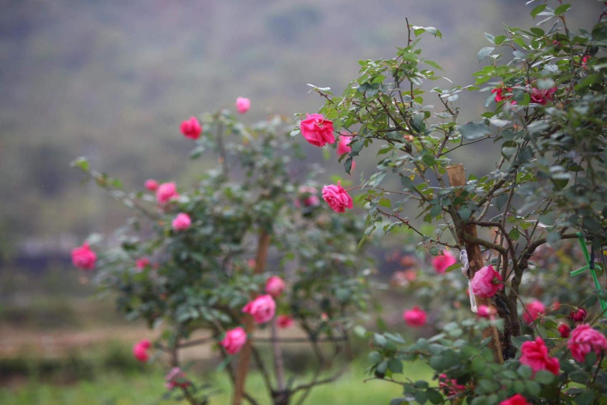 Nasan Green Farm Cao Bang Zewnętrze zdjęcie