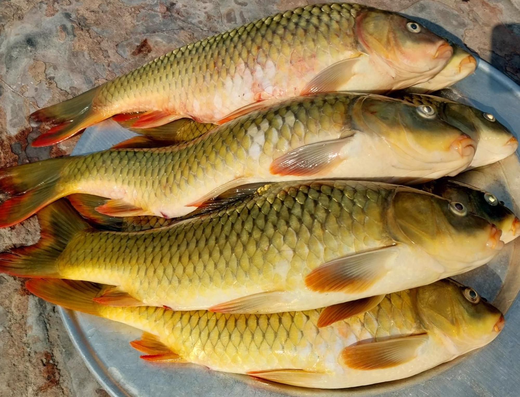 Nasan Green Farm Cao Bang Zewnętrze zdjęcie